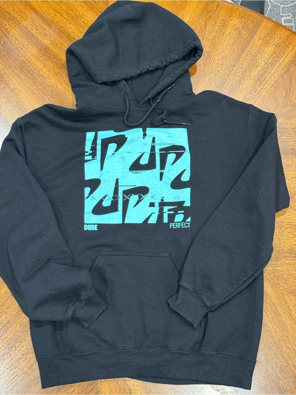 DUDE PERFECT PANDA-MONIUM TOUR 2023 MERCH - BLACK HOODIE - AQUA LOGO GRAPHIC